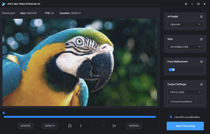 AI Video Enhancer - AVCLabs Video Enhancer AI Processing Settings