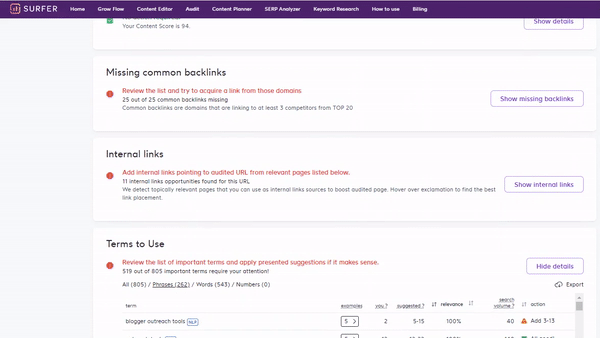 Surfer SEO - Content Audit Report