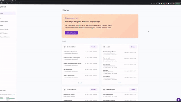 Surfer SEO - Grow Flow Settings