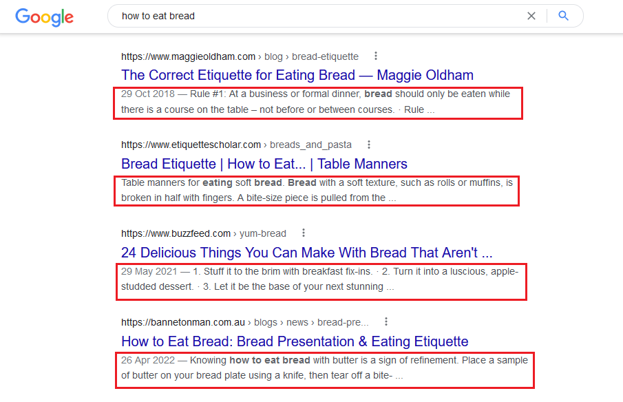 A screenshot of a google search results page with the section underneath each page title highlighted. The section has a description or preview of what the page contains.